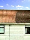After and before roof cleaning - soft washing also extends the life of your roof and protects your family's health