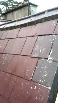 Old Slate Roof Cleaning